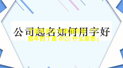 丁酉年的八字命理分析「丁酉年的丁是 🦍 什么意思」